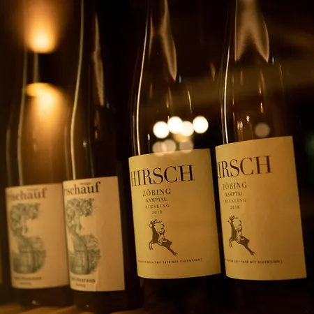 Elisabeth, 4 Sterne Superior 酒店 蒂罗尔-基希贝格