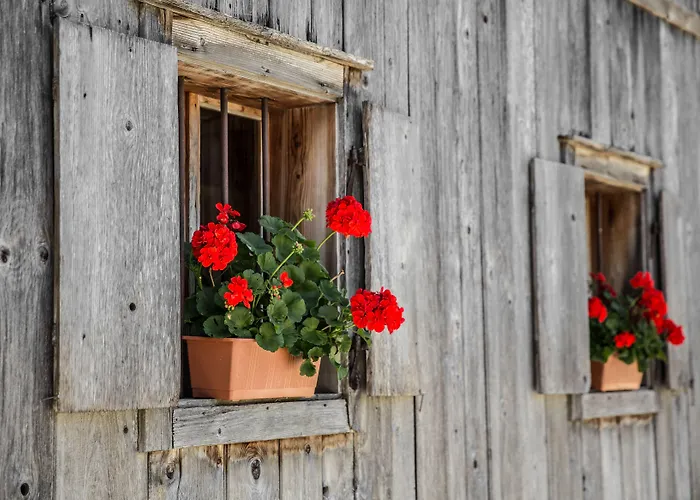 إليزابيث، 4 ستيرن سوبيريور 4*