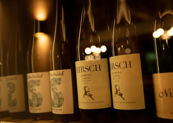 Elisabeth, 4 Sterne Superior Hotel Kirchberg en Tyrol